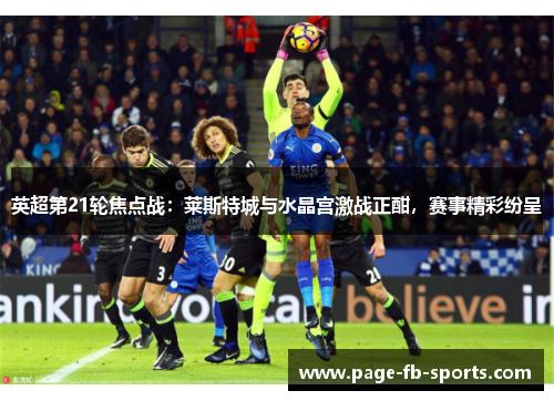英超第21轮焦点战:莱斯特城与水晶宫激战正酣,赛事精彩纷呈 英超第21轮焦点战:莱斯特城与水晶宫激战正酣,赛事精彩纷呈