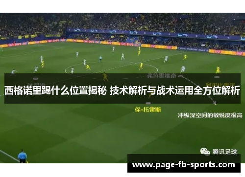 西格诺里踢什么位置揭秘 技术解析与战术运用全方位解析 西格诺里踢什么位置揭秘 技术解析与战术运用全方位解析