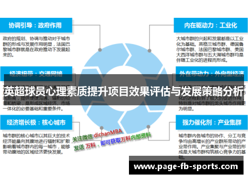 英超球员心理素质提升项目效果评估与发展策略分析 英超球员心理素质提升项目效果评估与发展策略分析