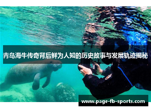 青岛海牛传奇背后鲜为人知的历史故事与发展轨迹揭秘